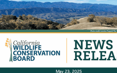 Wildlife Conservation Board Awards $59.5 Million in Grants to 25 Habitat Conservation and Restoration Projects
